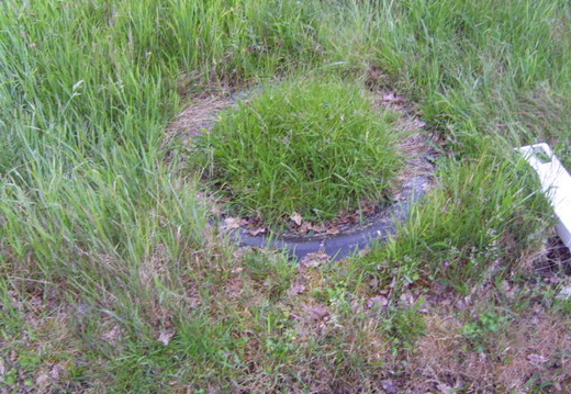 Baarlo  47 