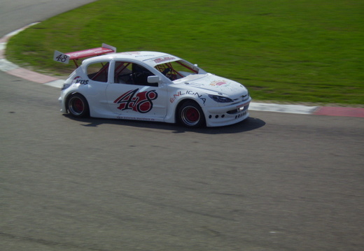 DSCI0291
